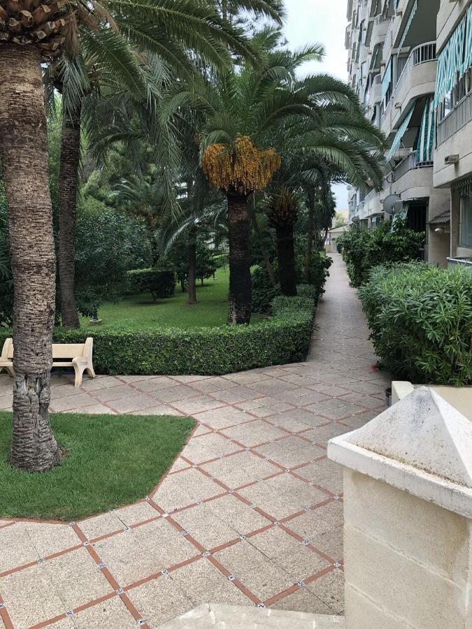 Apartamento Parque 2 Playa De Gandia Dış mekan fotoğraf