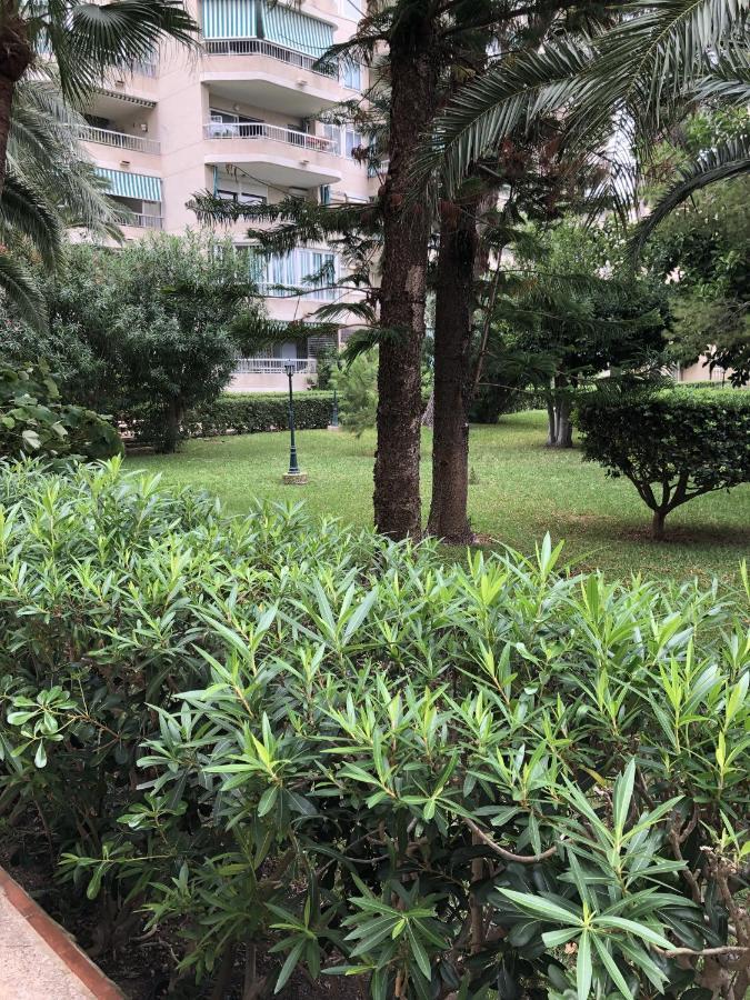 Apartamento Parque 2 Playa De Gandia Dış mekan fotoğraf
