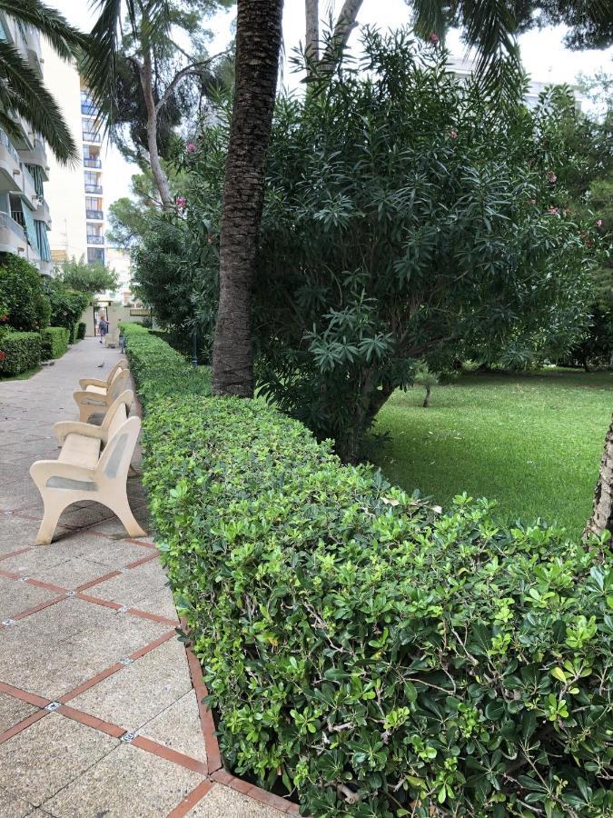 Apartamento Parque 2 Playa De Gandia Dış mekan fotoğraf