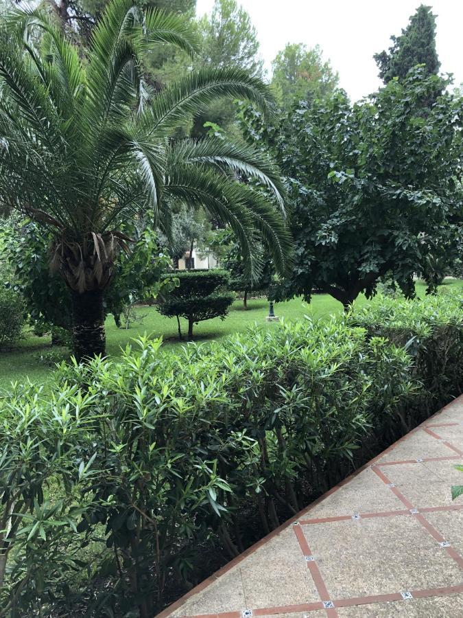 Apartamento Parque 2 Playa De Gandia Dış mekan fotoğraf